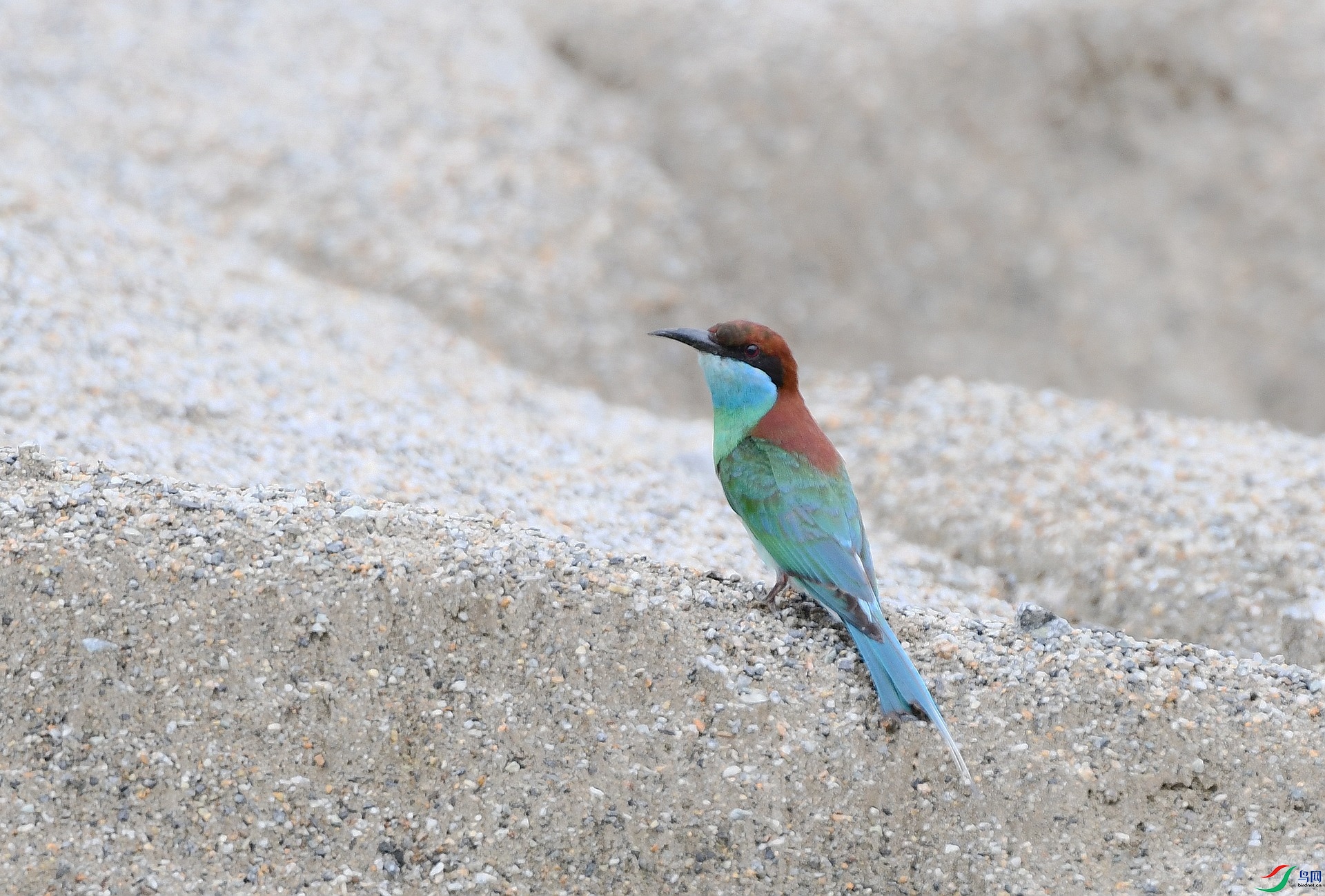DSC_7677.jpg