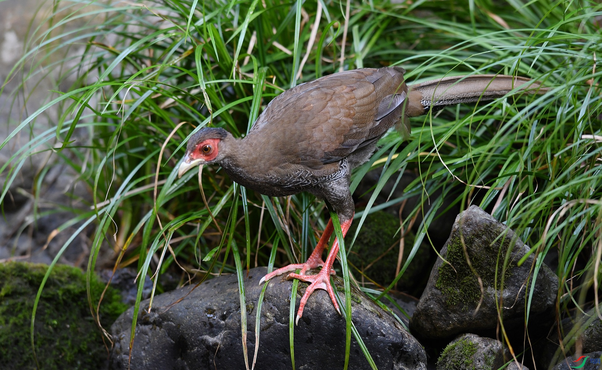 DSC_7271.jpg
