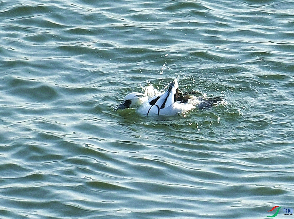 DSC_4789.jpg