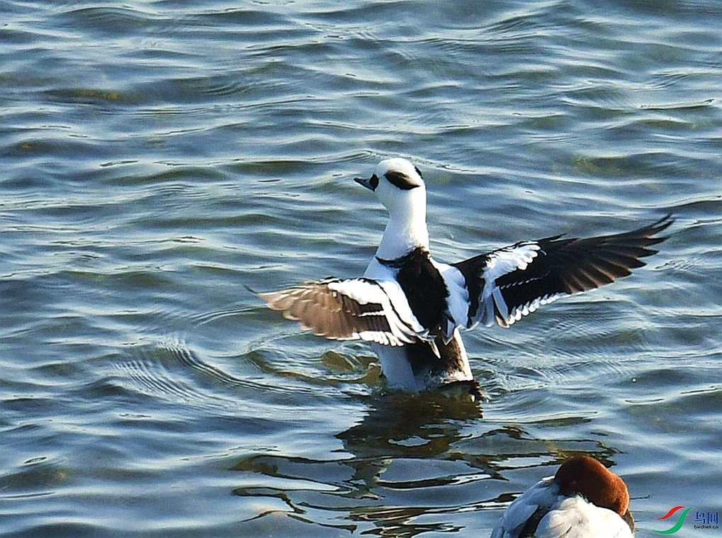 DSC_4877.jpg