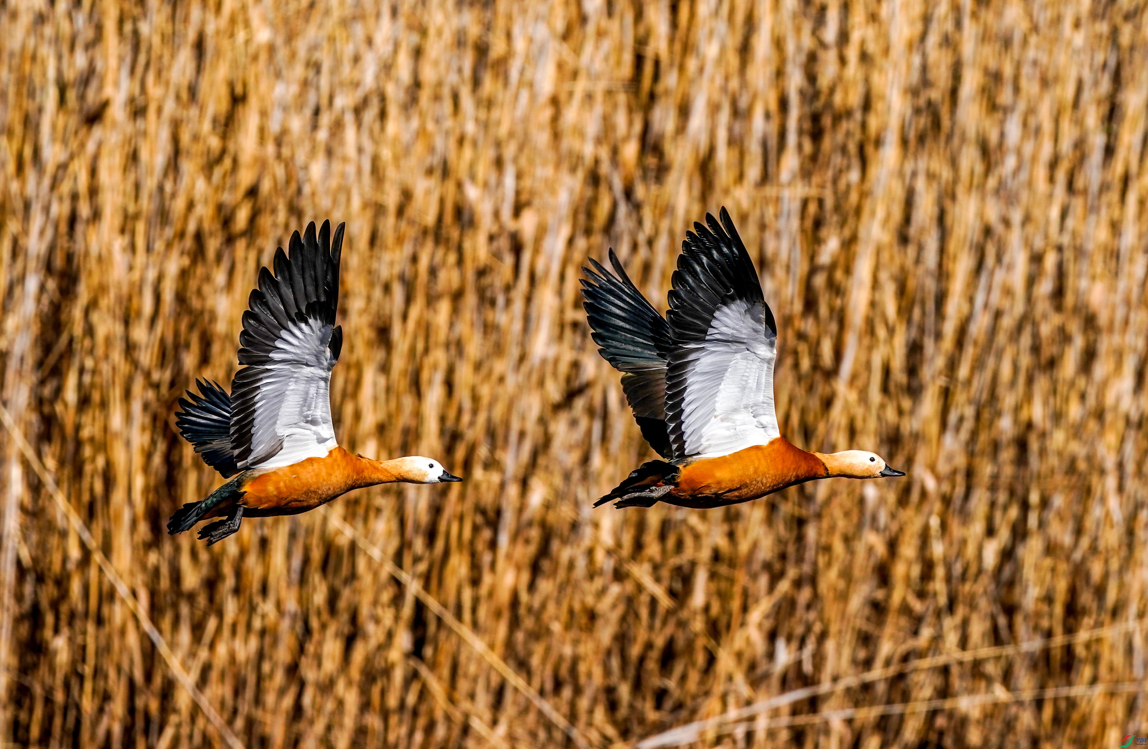��_3.jpg