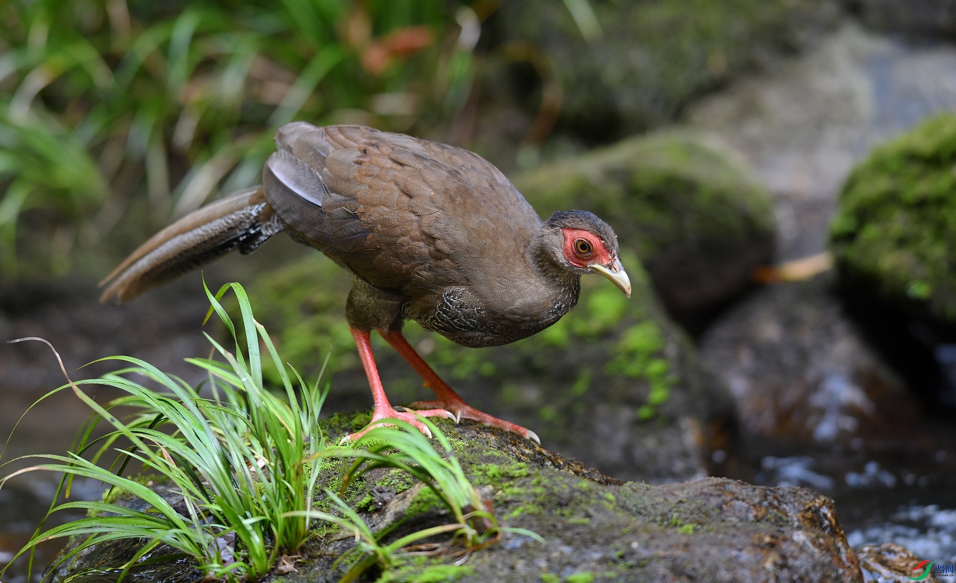 DSC_7289.jpg