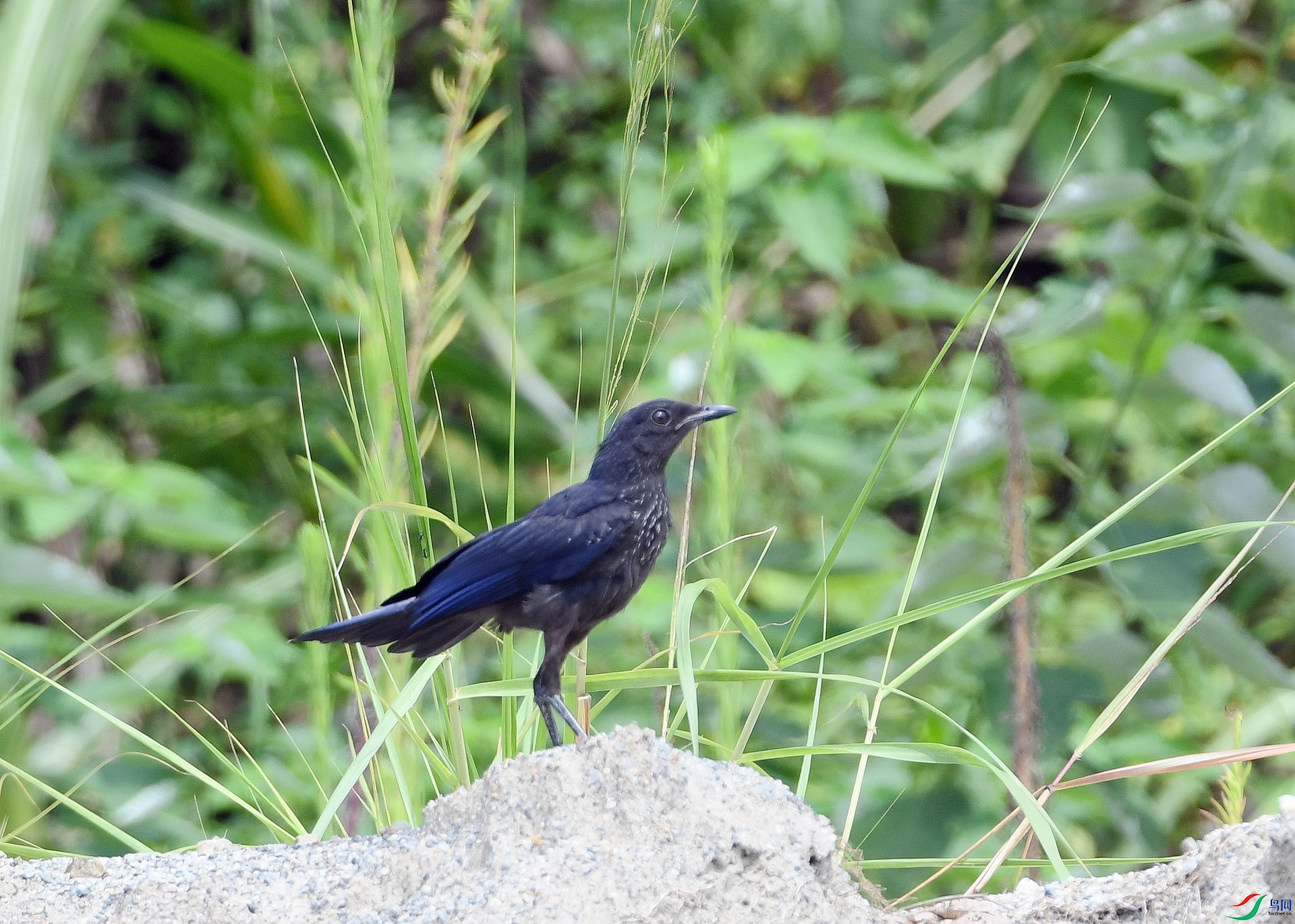 DSC_6120.jpg