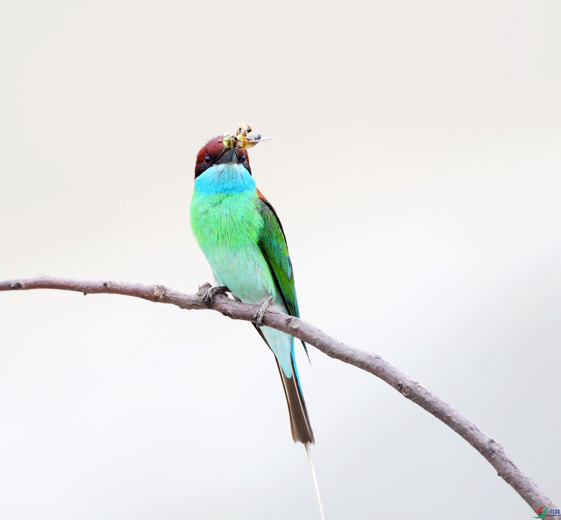 DSC_3236.jpg