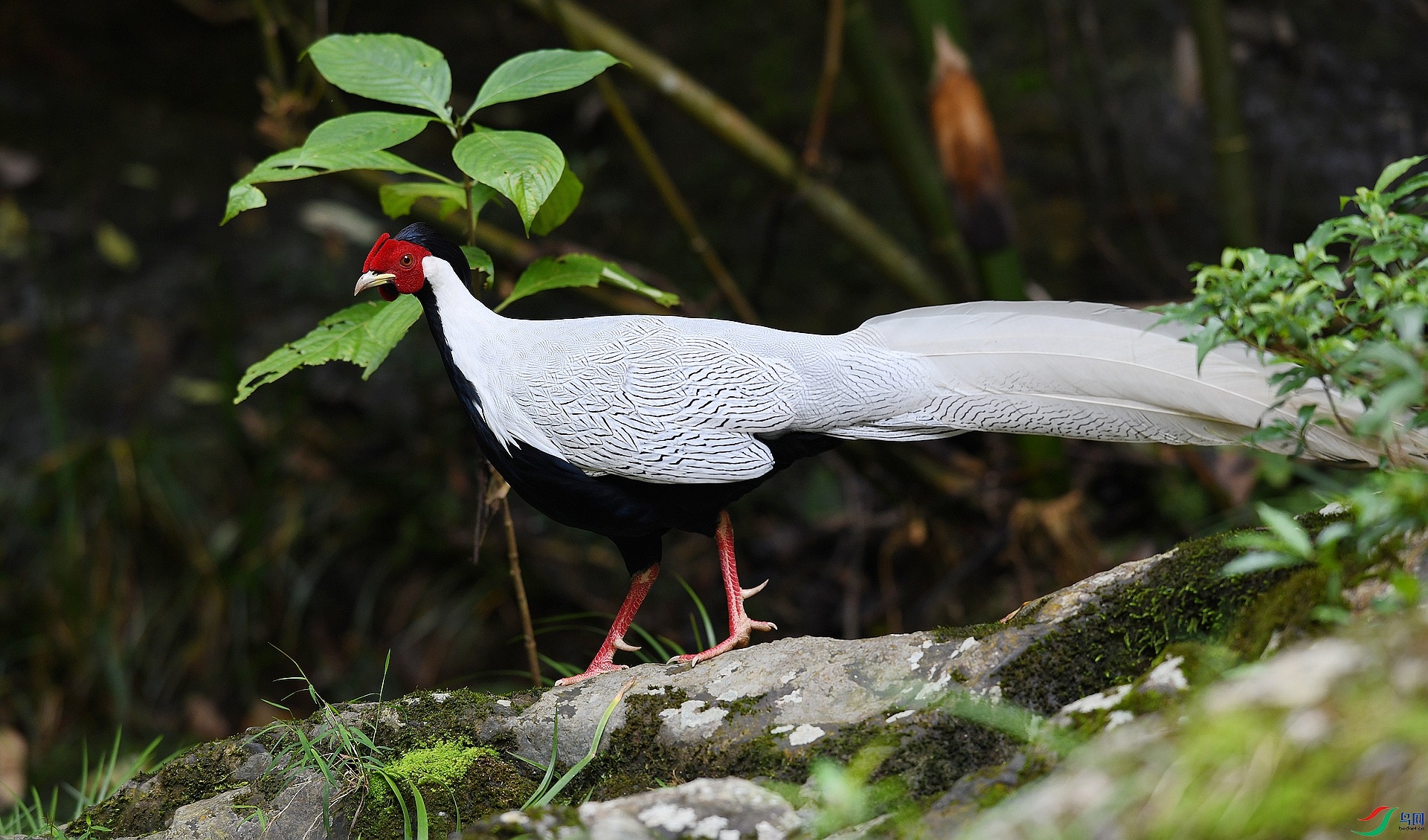 DSC_3457.jpg
