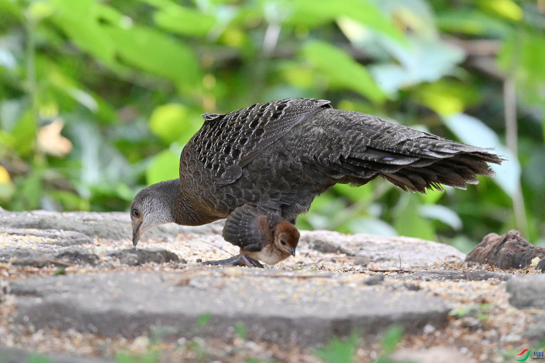 DSC_5749.JPG