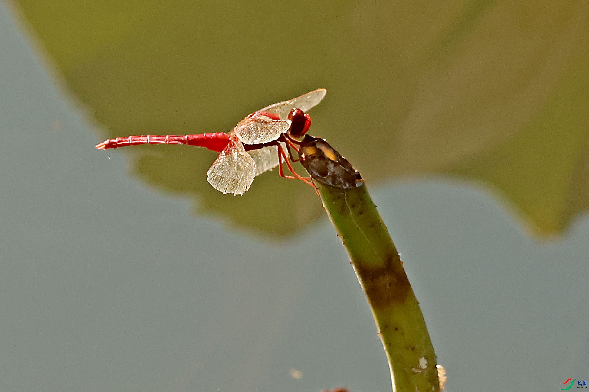 2G9A4452.JPG
