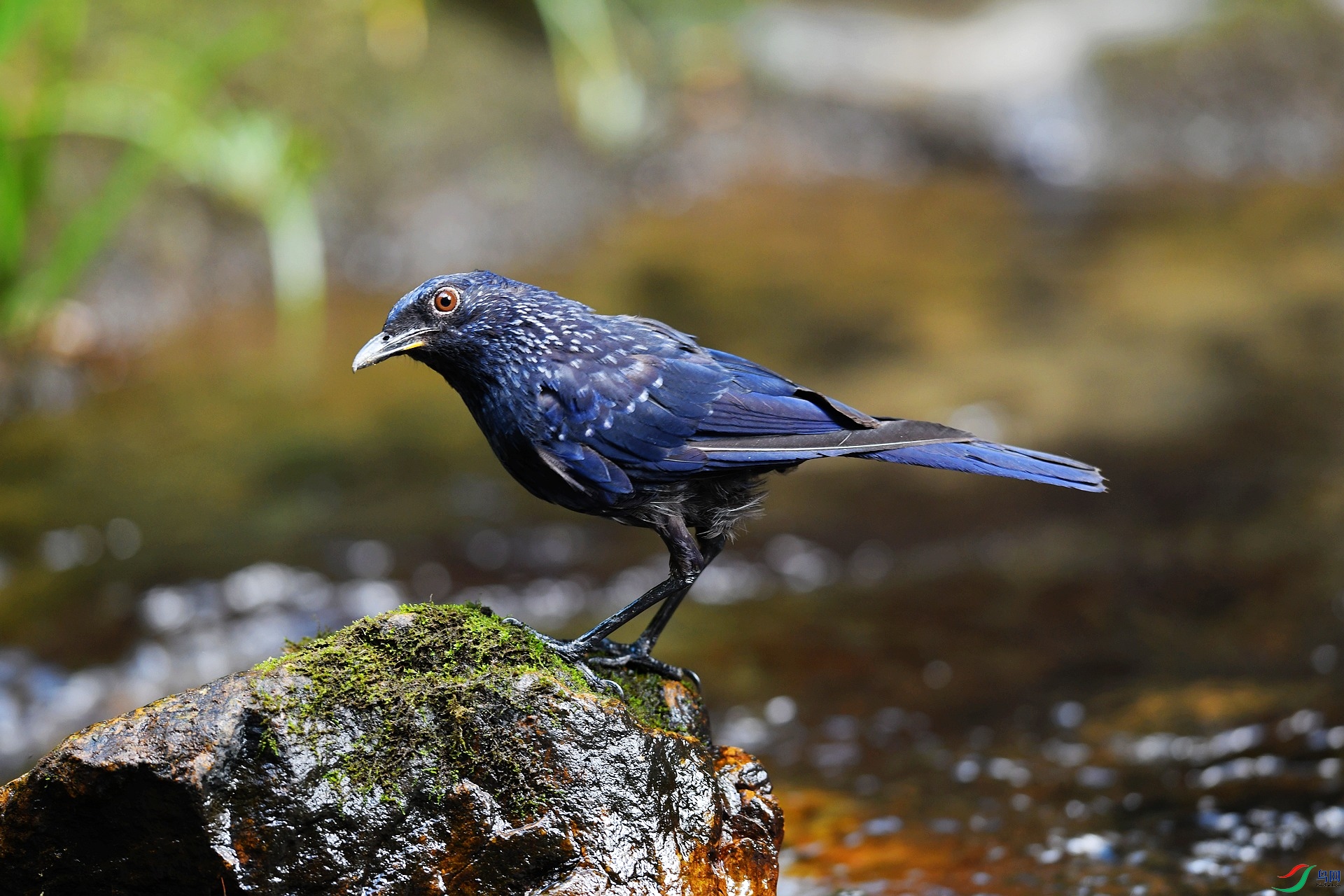 DSC_7047.jpg