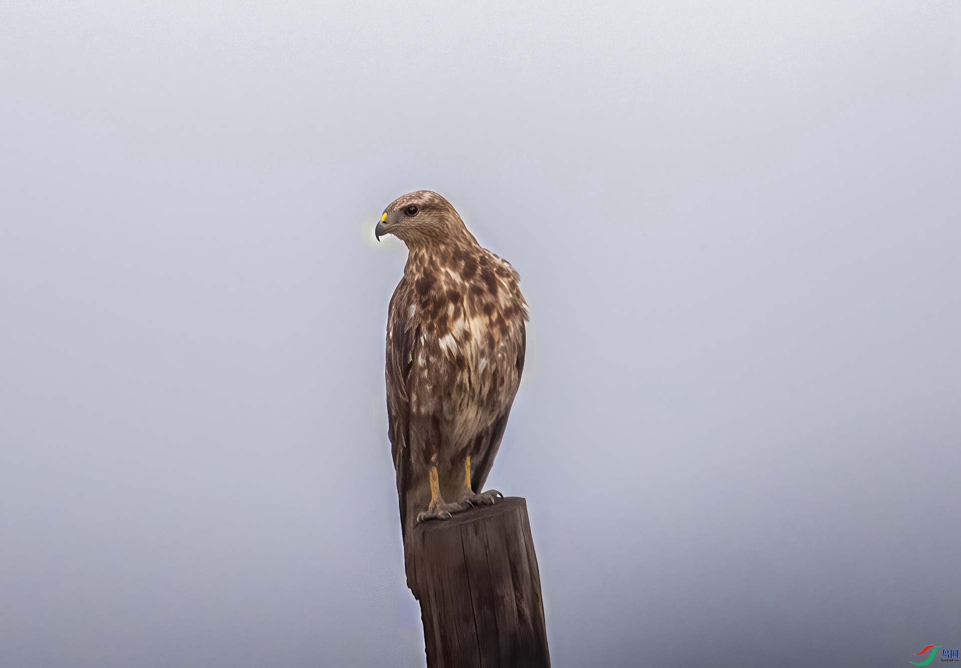 DSC_3908-2.jpg