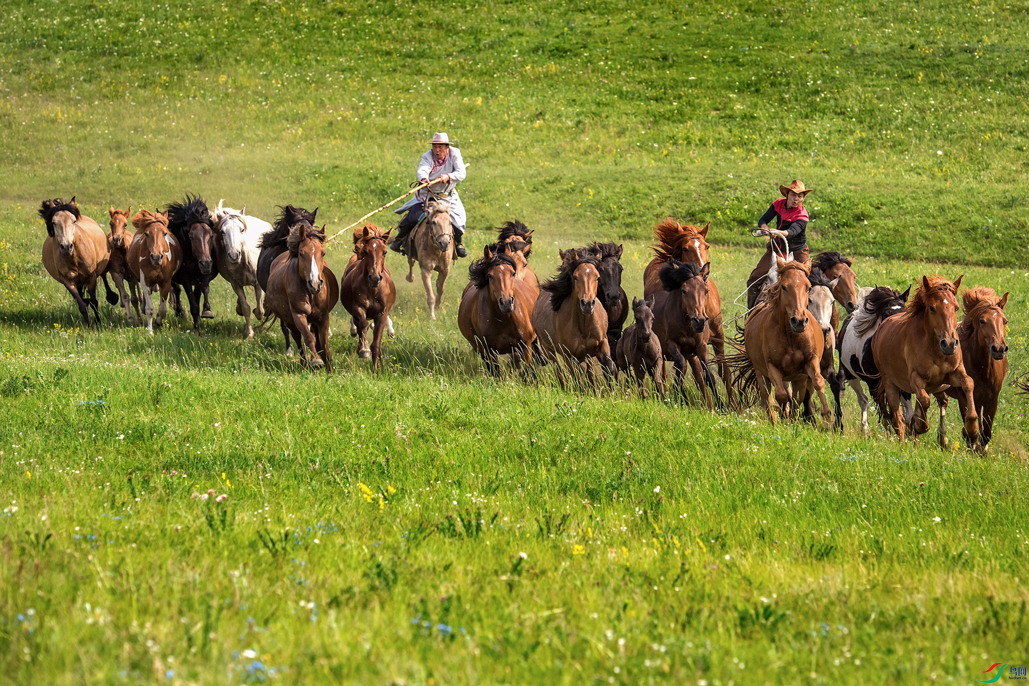 _DSC7386a.jpg