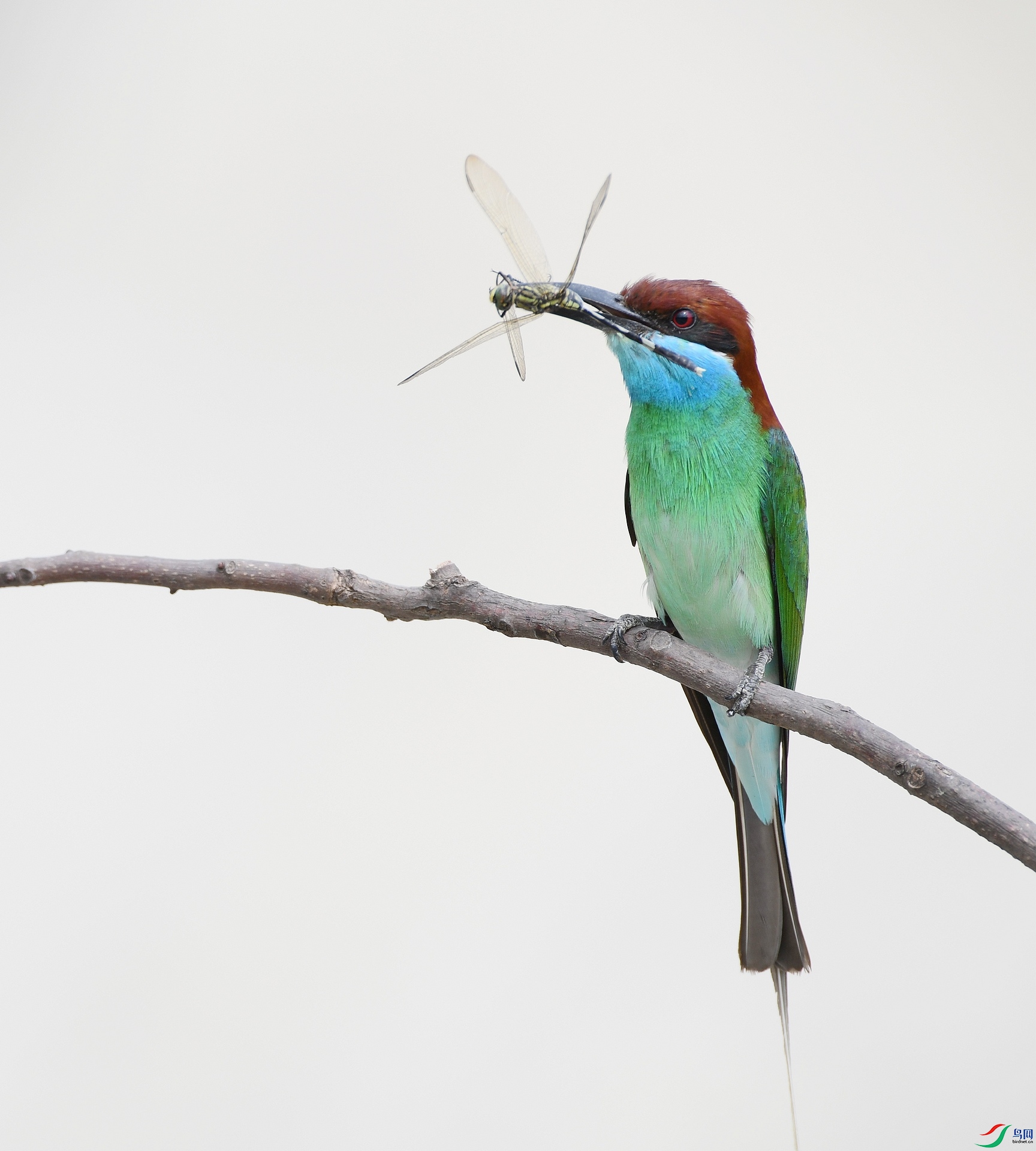 DSC_0775.jpg