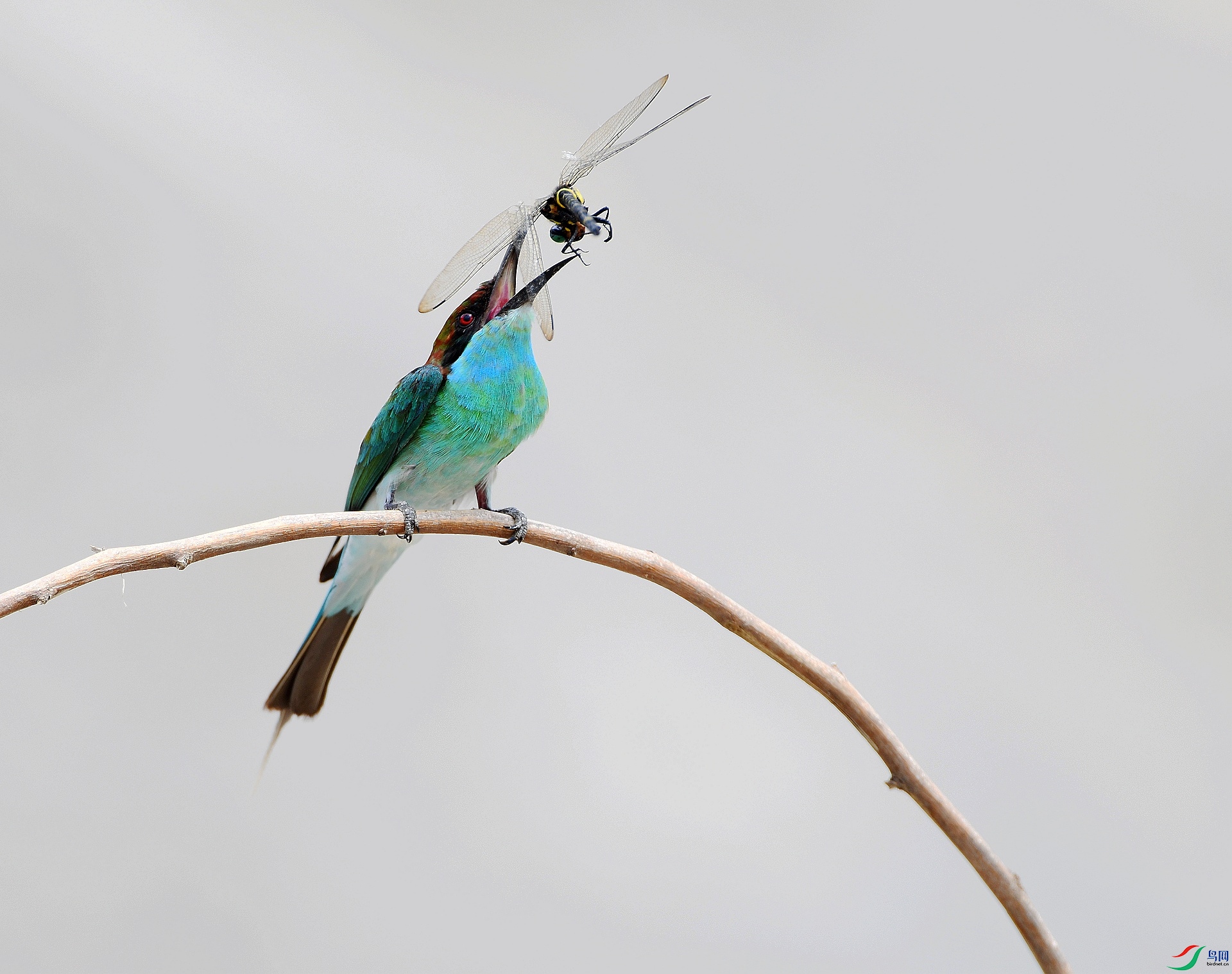 DSC_5010.jpg