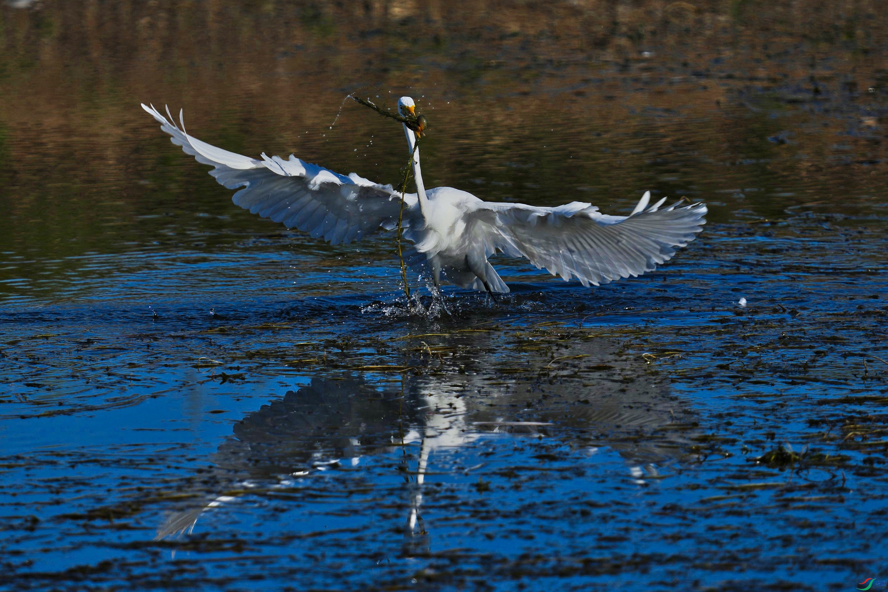 DSC02596_polarr.jpeg