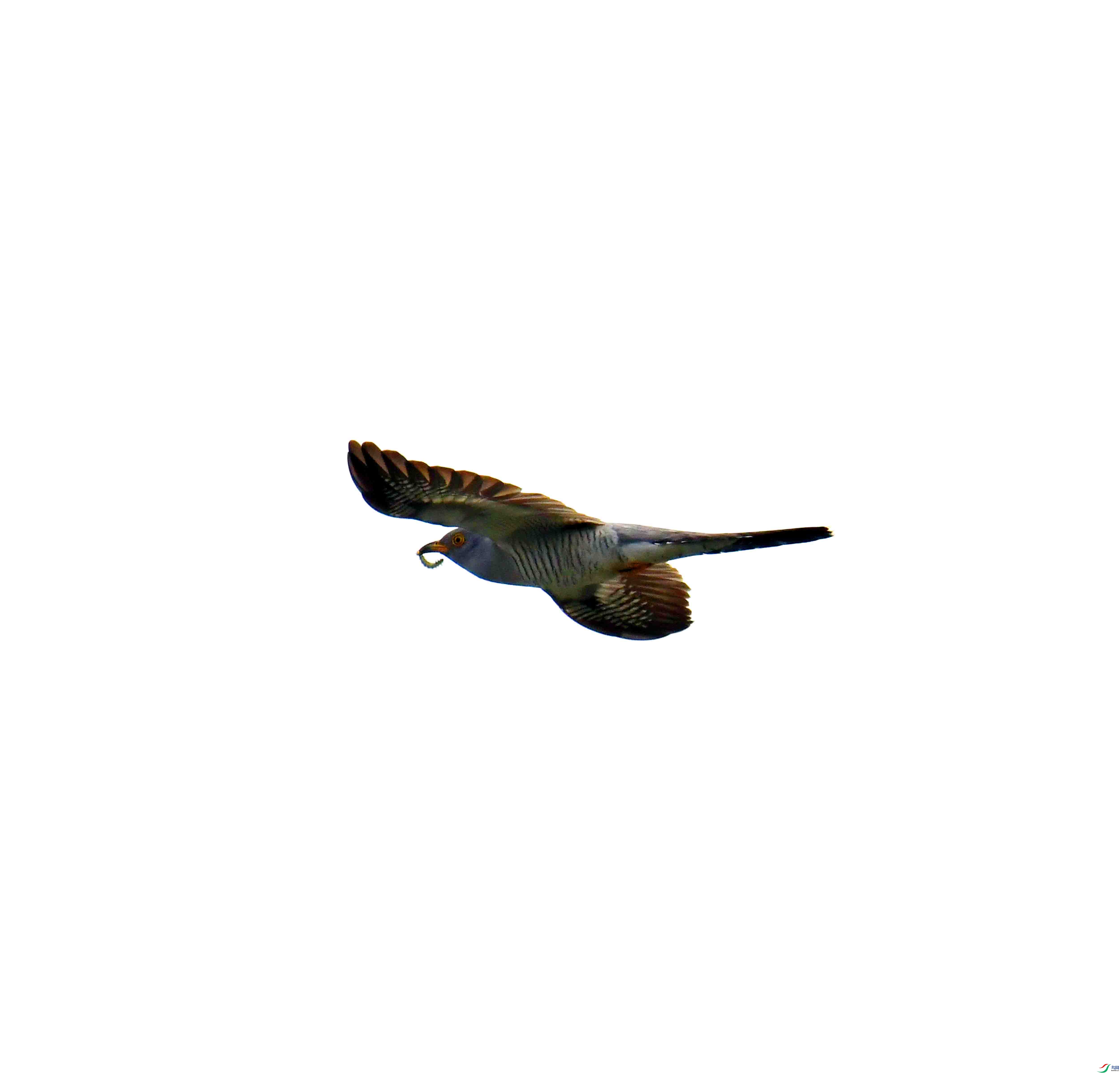 DSC_7273.JPG
