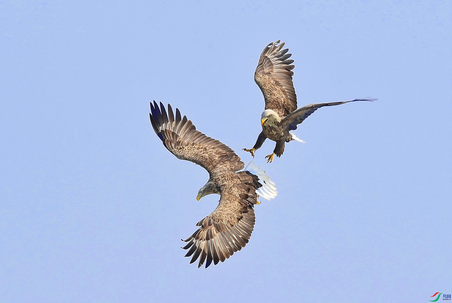 DSC_1635 -1.jpg