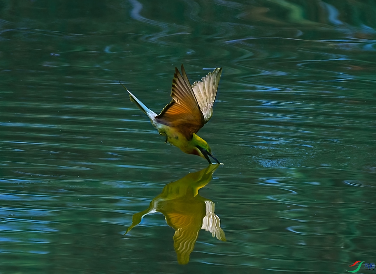 DSC_1458-1.jpg