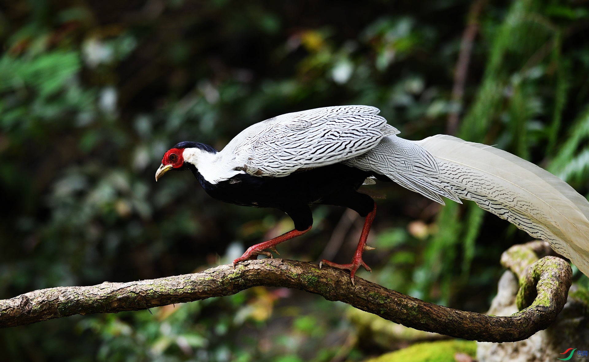 DSC_3342.jpg