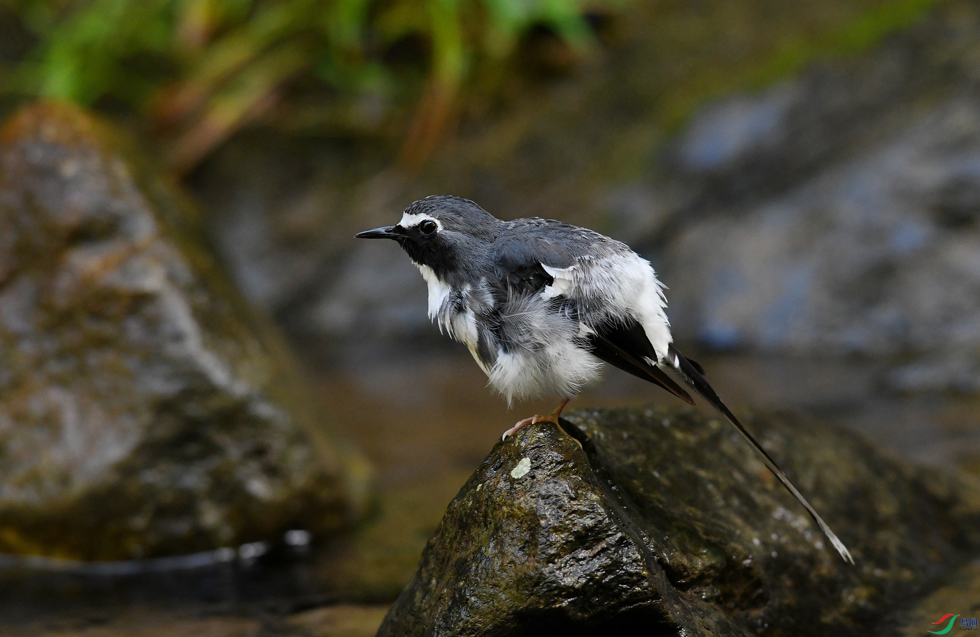 DSC_4991.jpg
