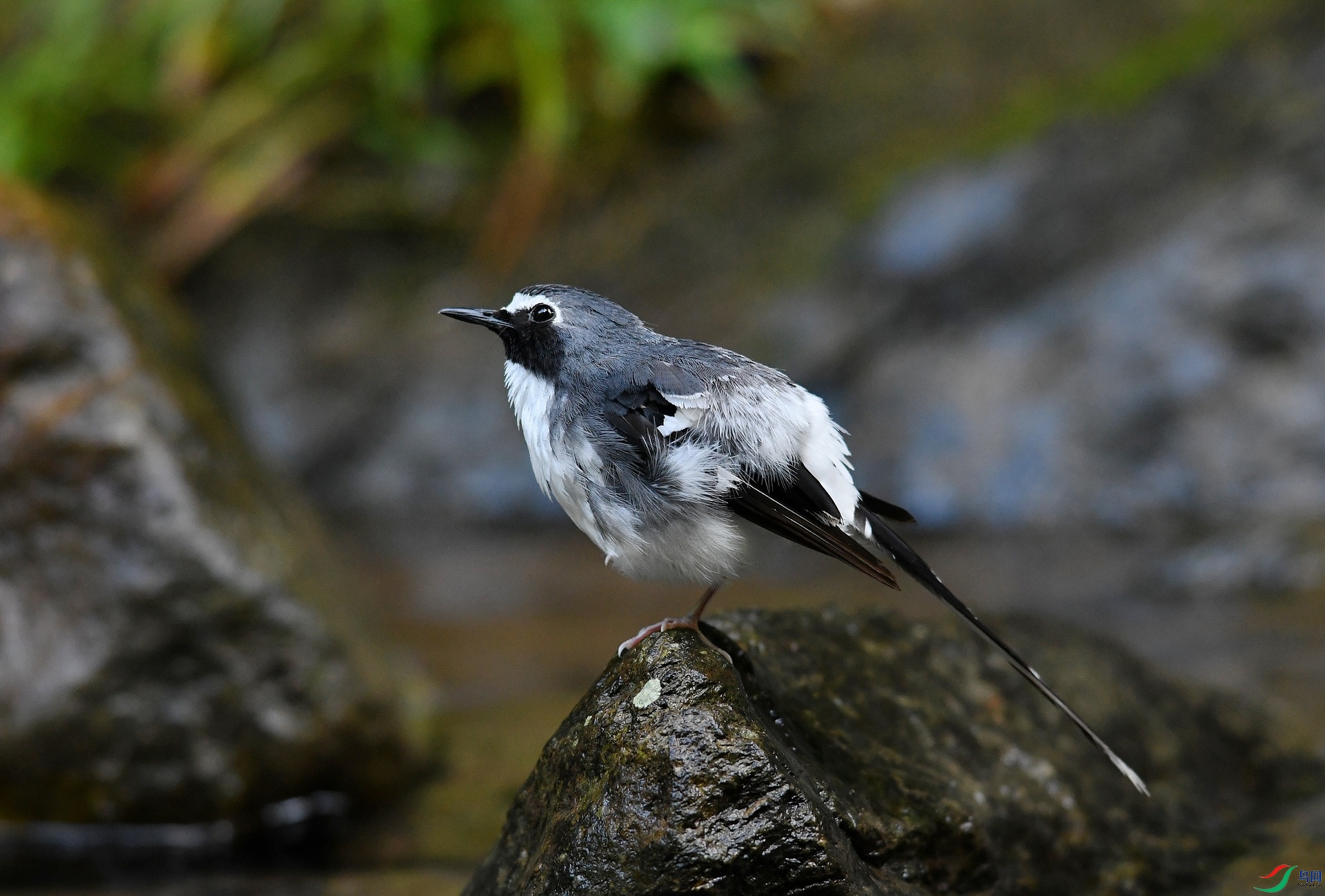 DSC_4977.jpg