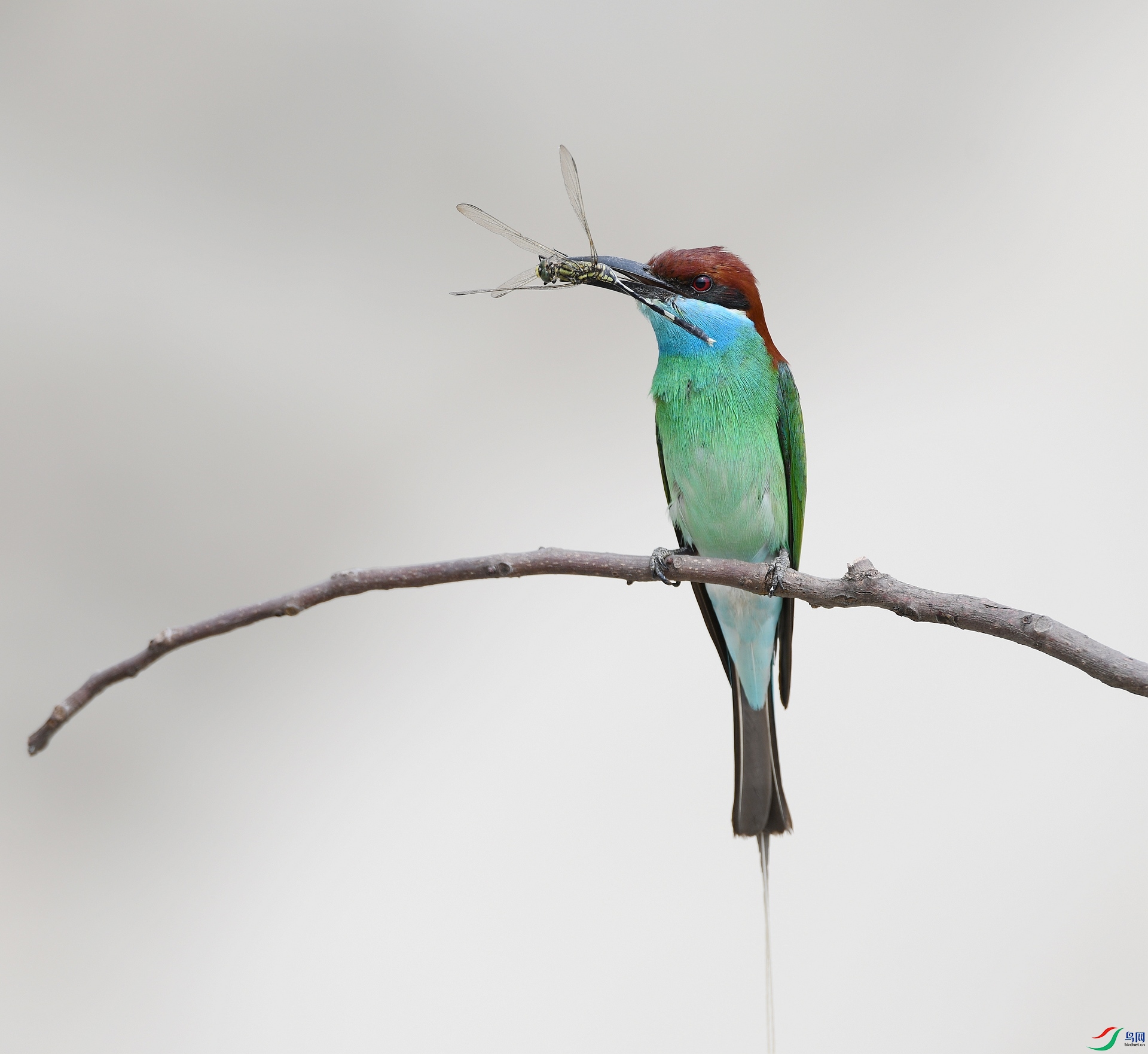 DSC_0755.jpg