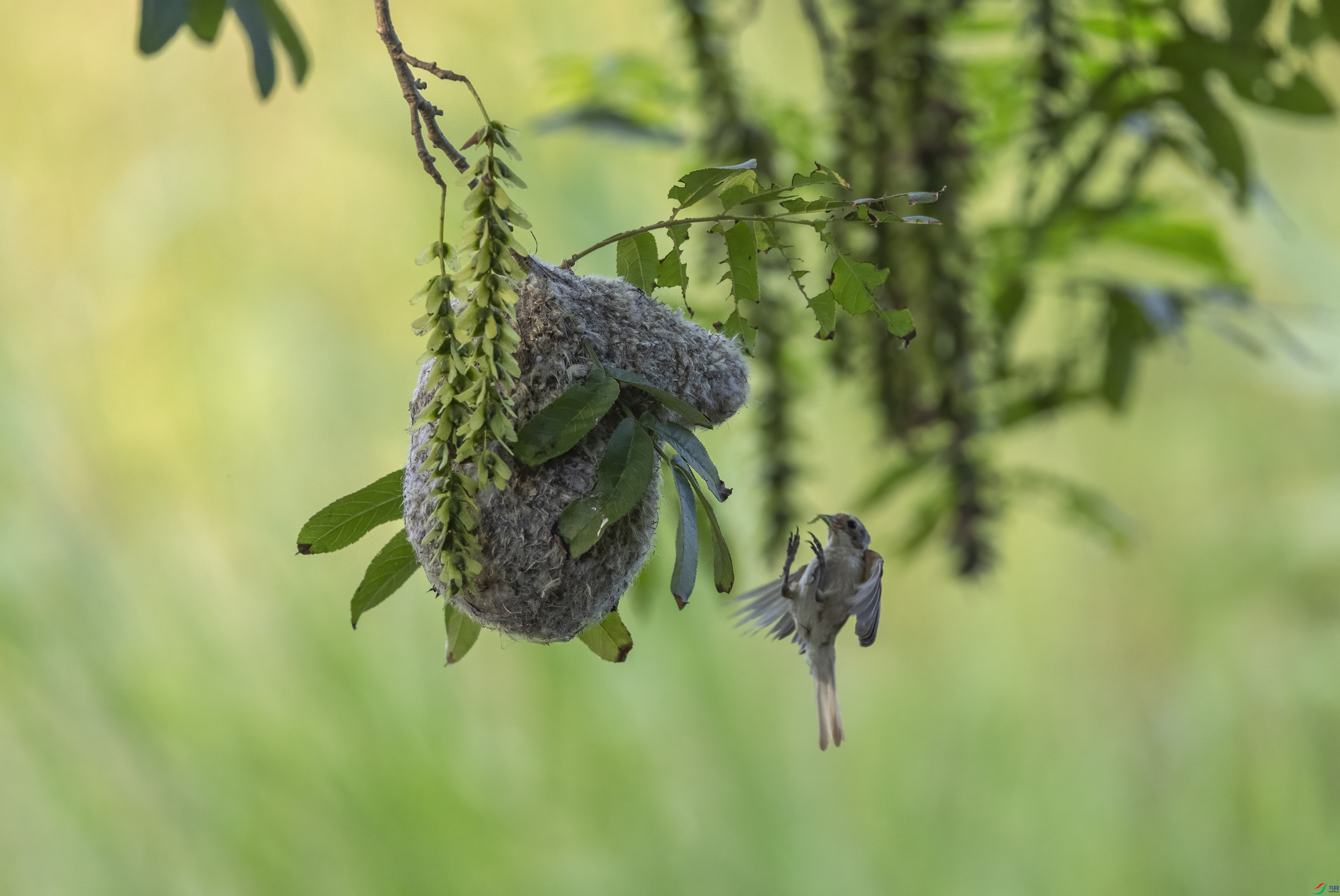 018A1949.jpg