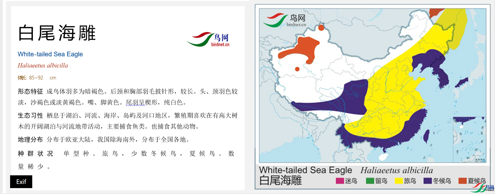6f05ff64bcd9a2281968c17fdc7df100.png