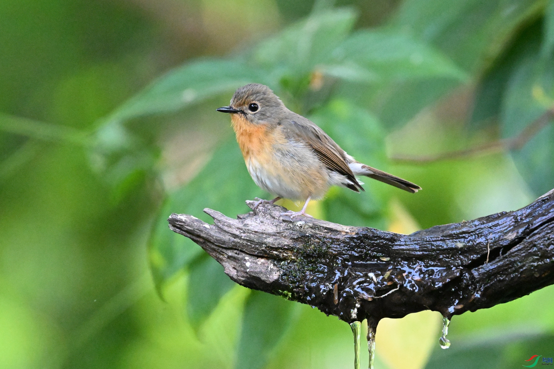 DSC_5811.JPG