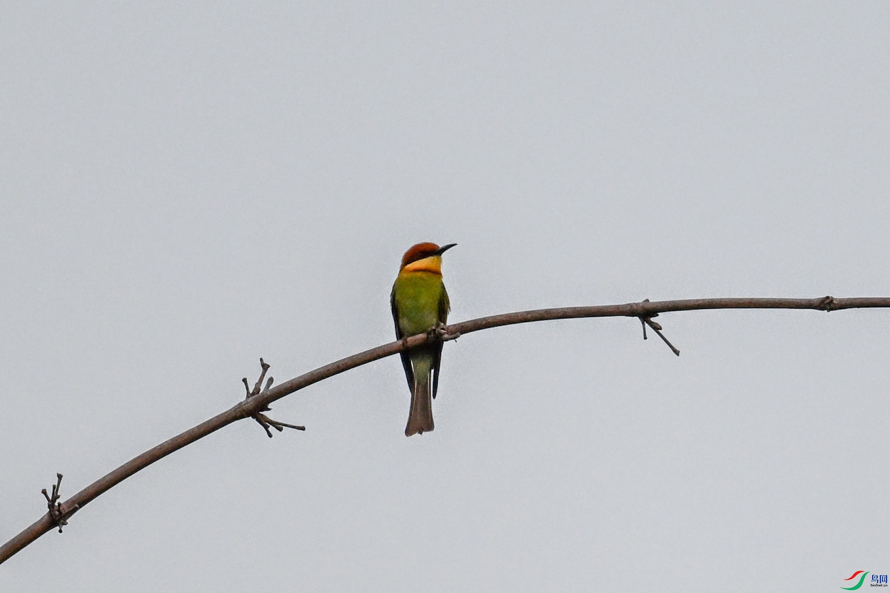 DSC_5828.JPG