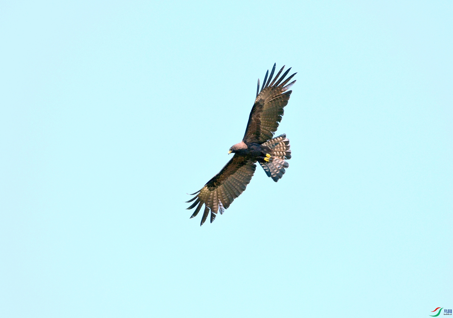 DSC_2650.jpg