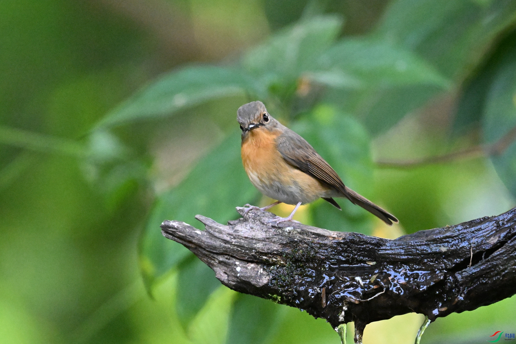 DSC_5807.JPG