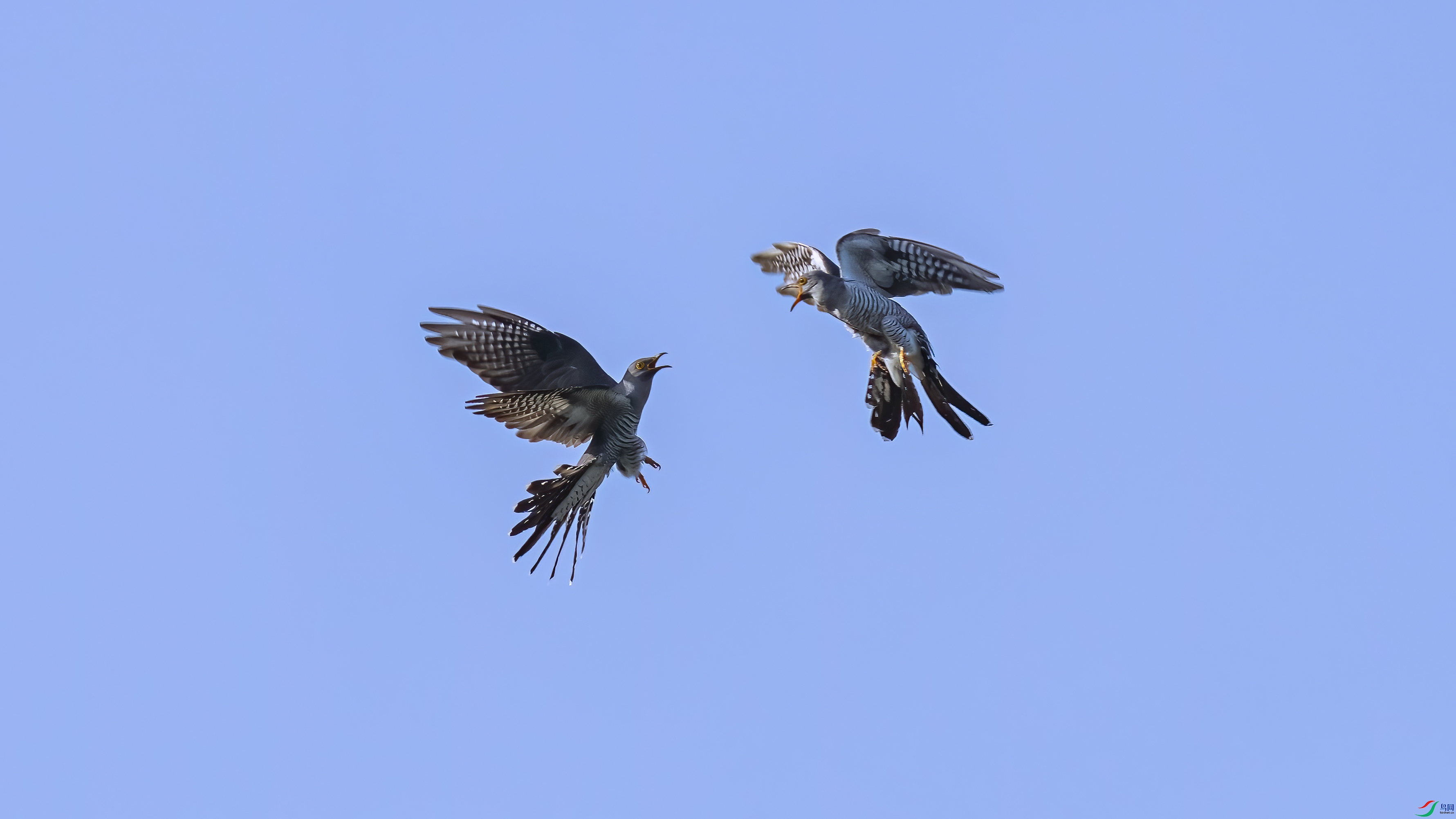 DSC05367-.jpg