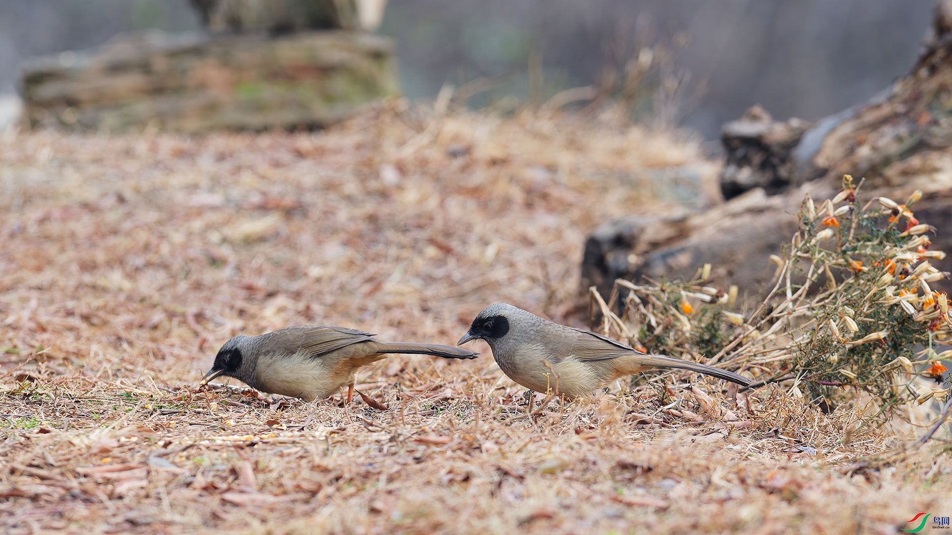 DSC_8229_DxO_DxO.jpga.jpg