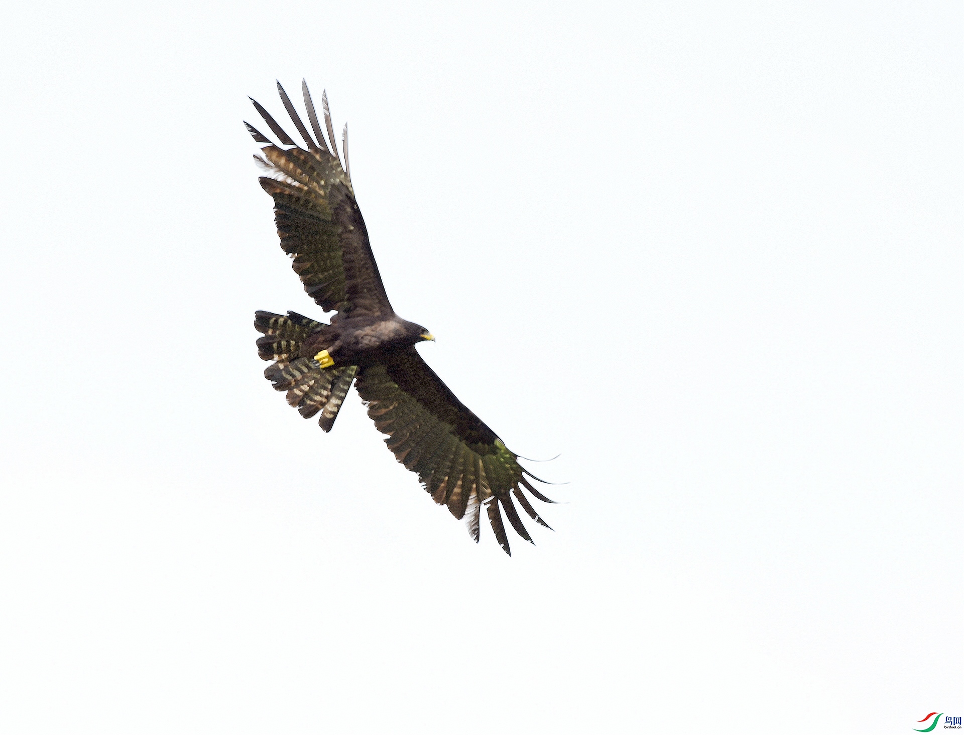 DSC_0552.jpg