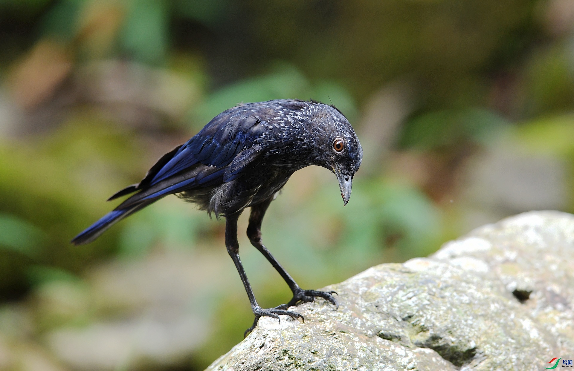 DSC_3754.jpg