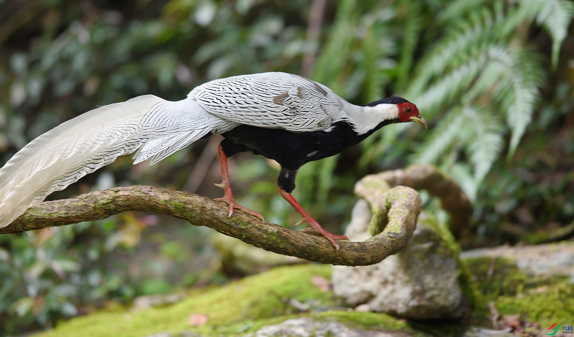 DSC_3381.jpg