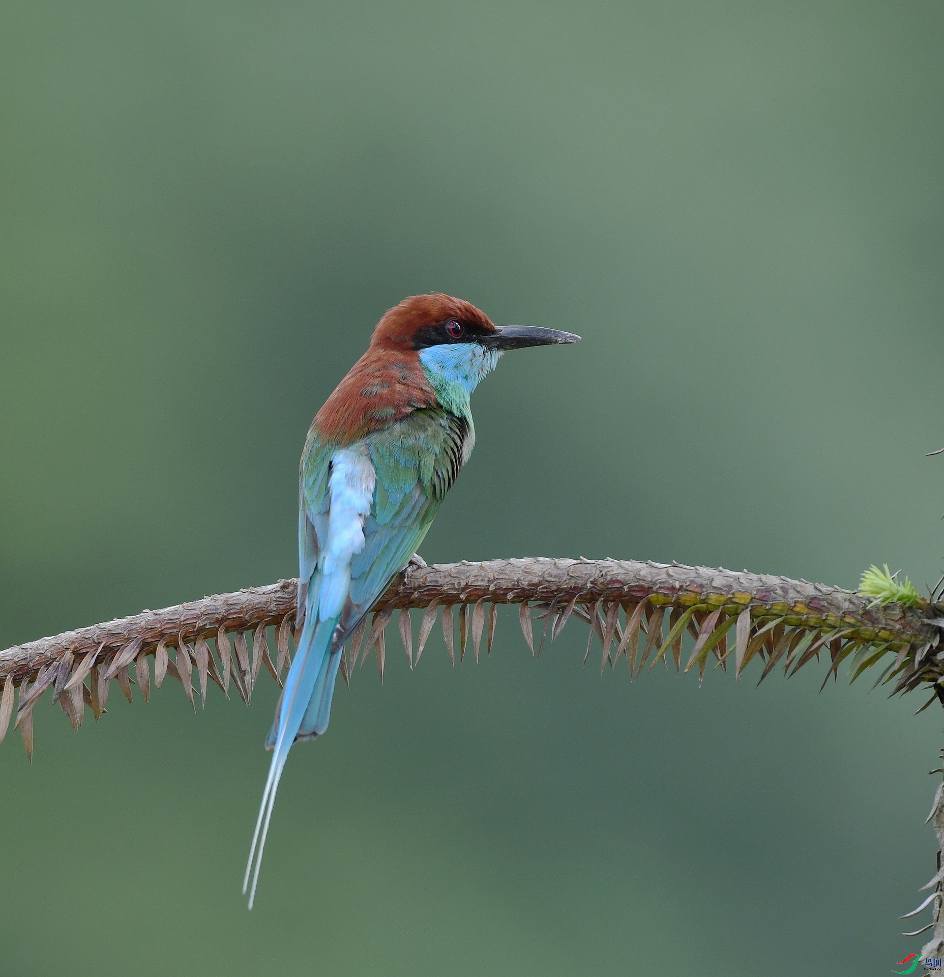DSC_7765.jpg
