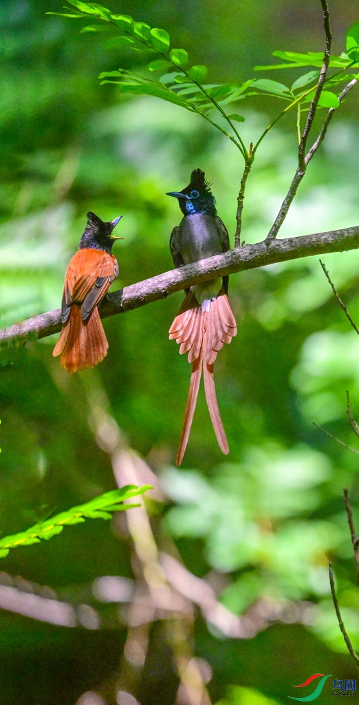 DSC_6490-- ����.jpg