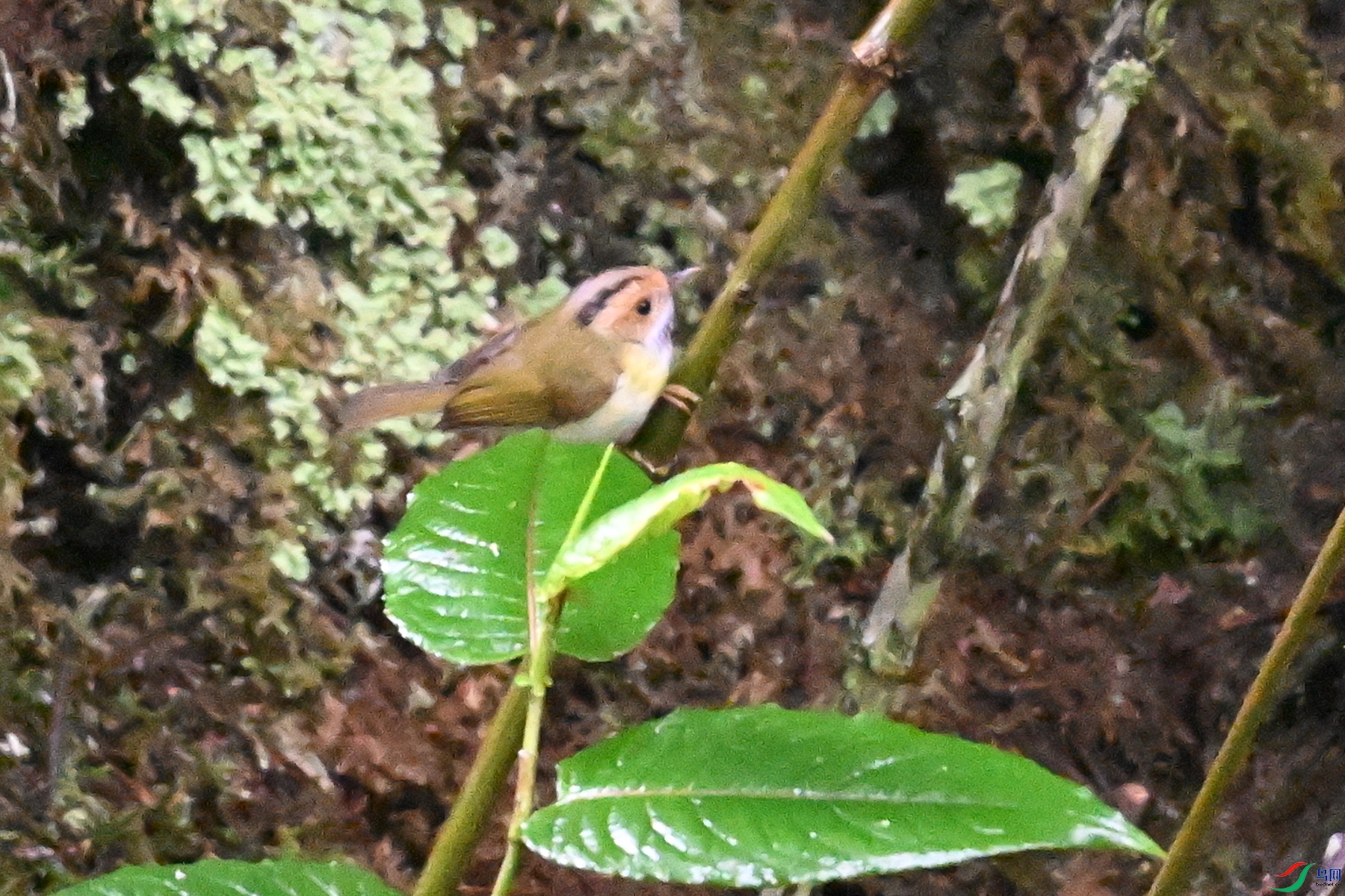 DSC_0289.JPG