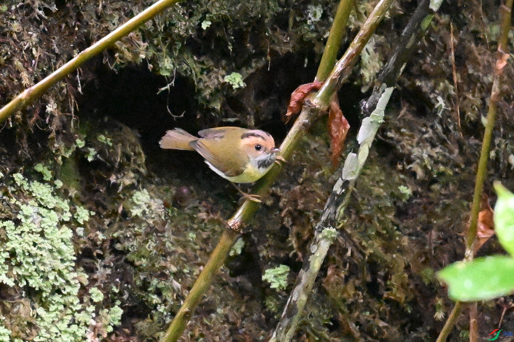 DSC_0296.JPG