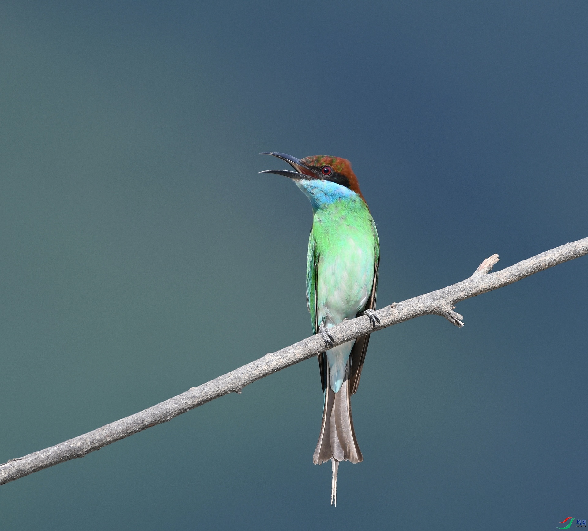 DSC_3654.jpg