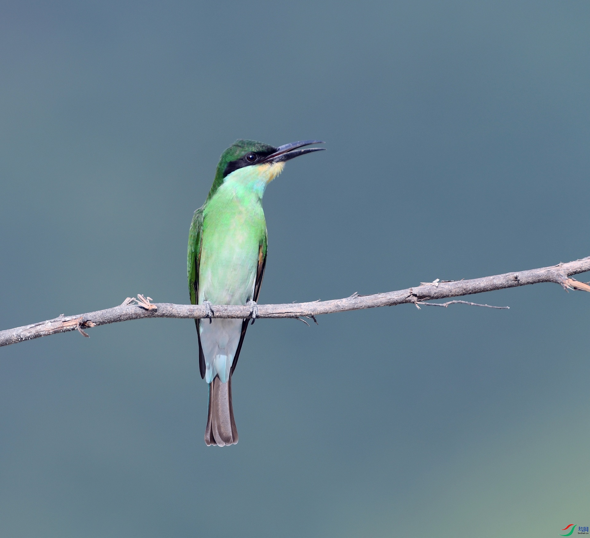 DSC_3598.jpg