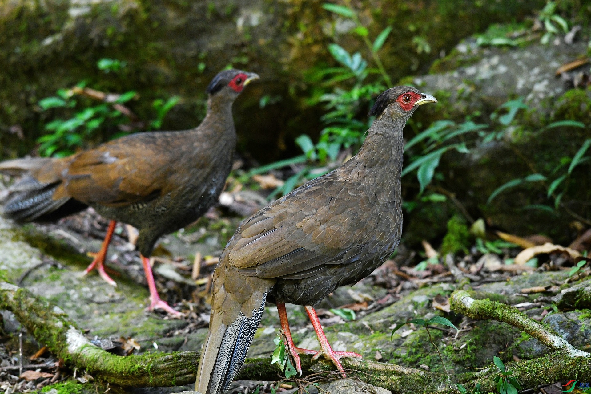 DSC_1419.jpg