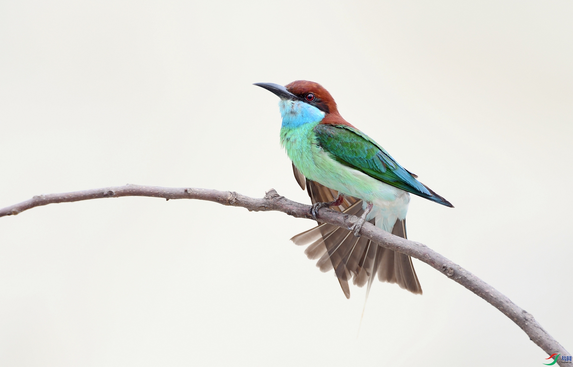 DSC_4437.jpg