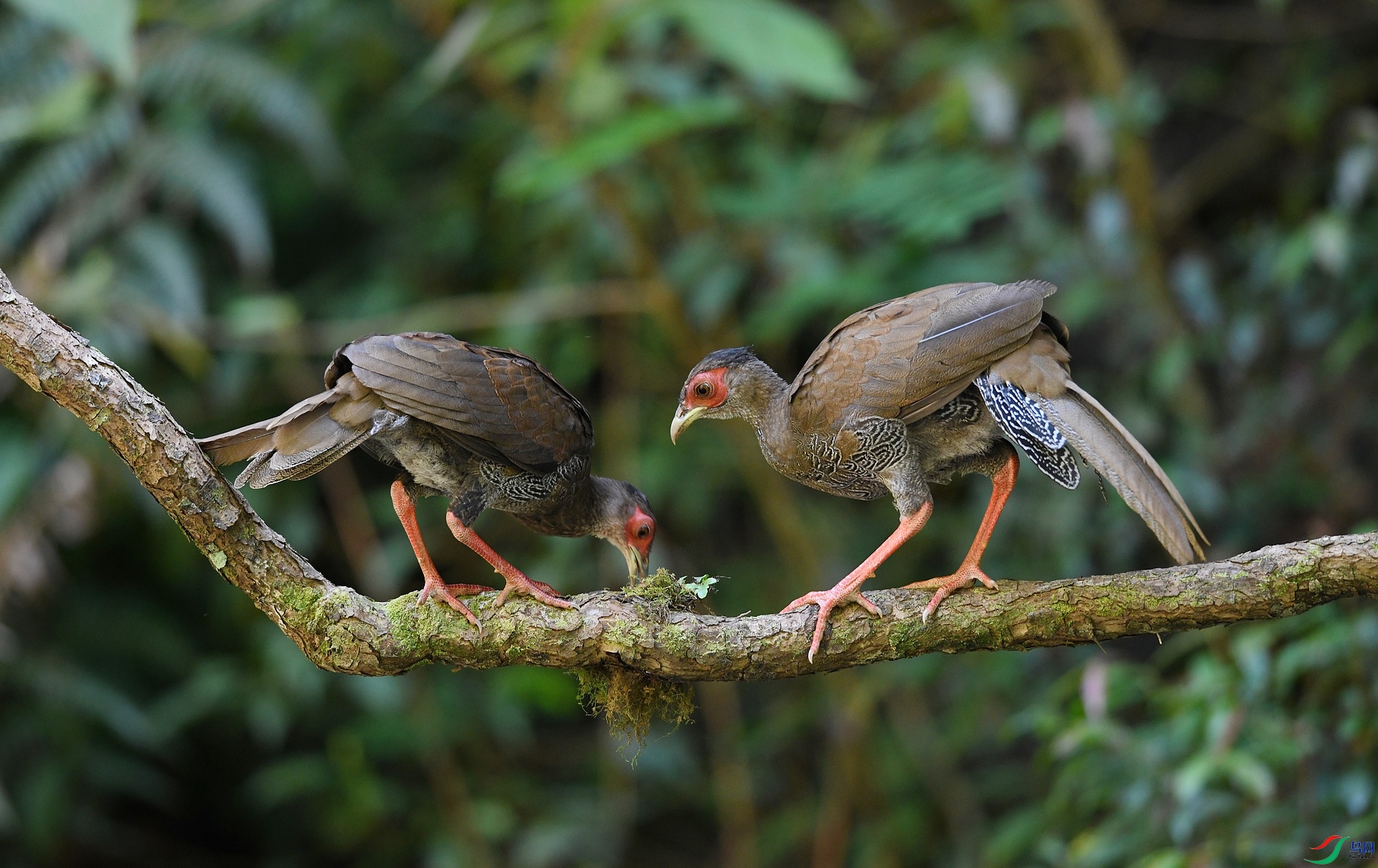 DSC_3455.jpg