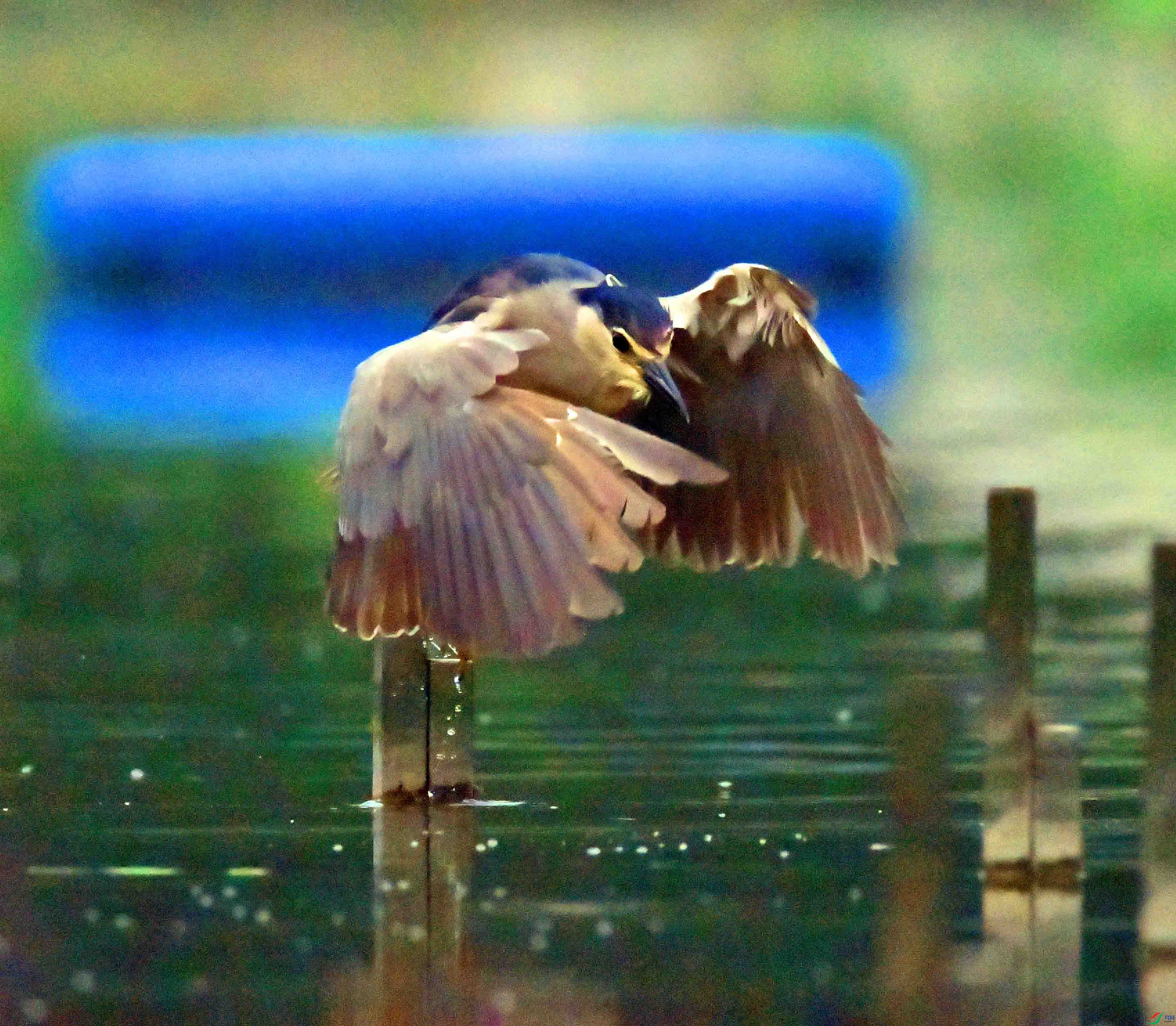 DSC_1491.JPG