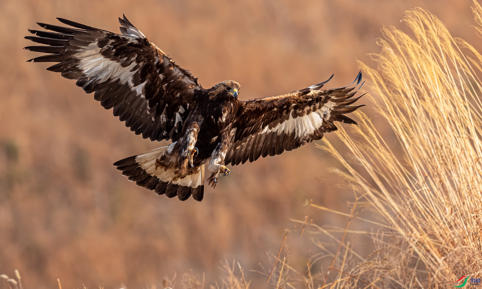 DSC_4270-11.jpg