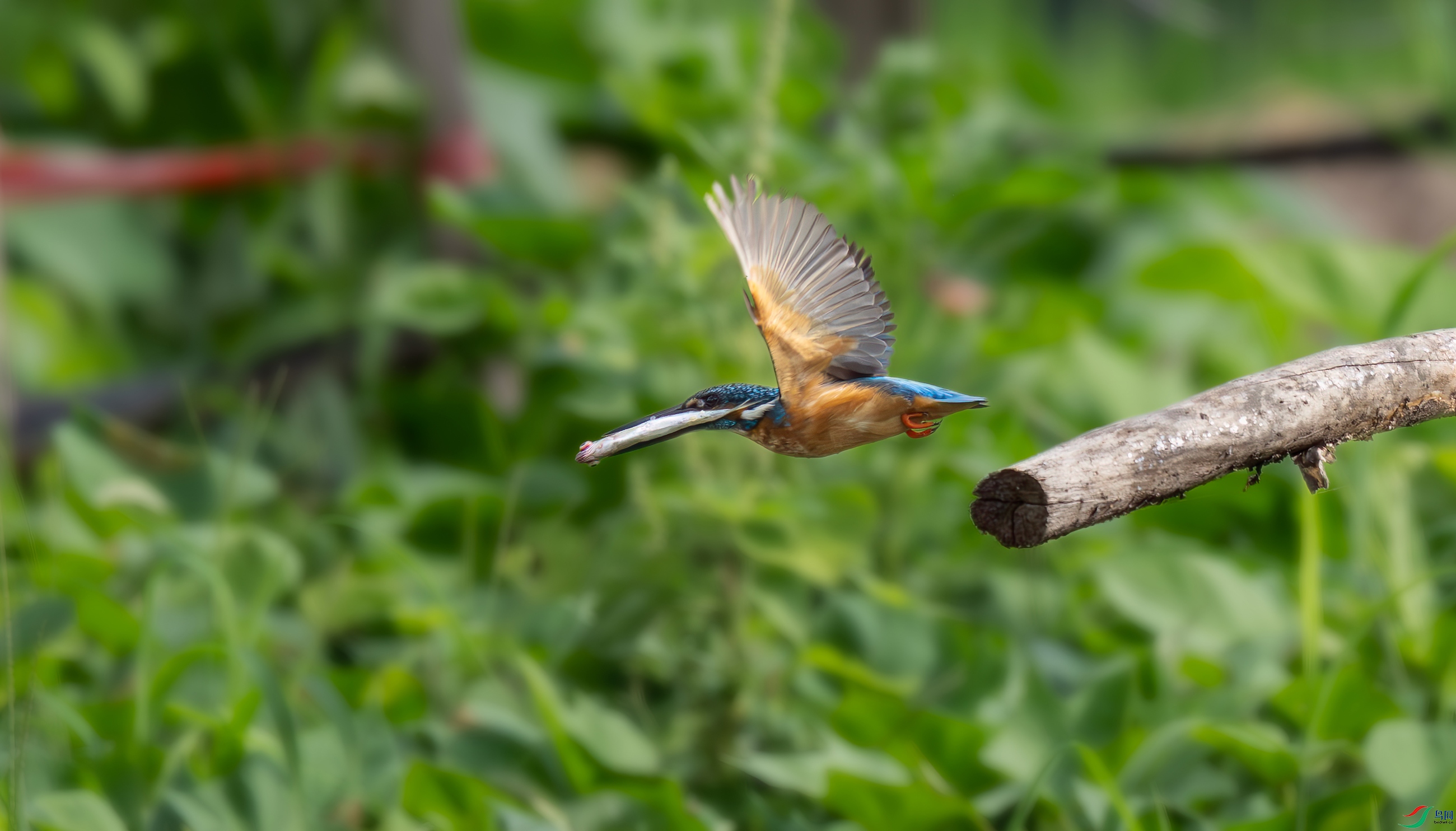 DSC_5035.jpg