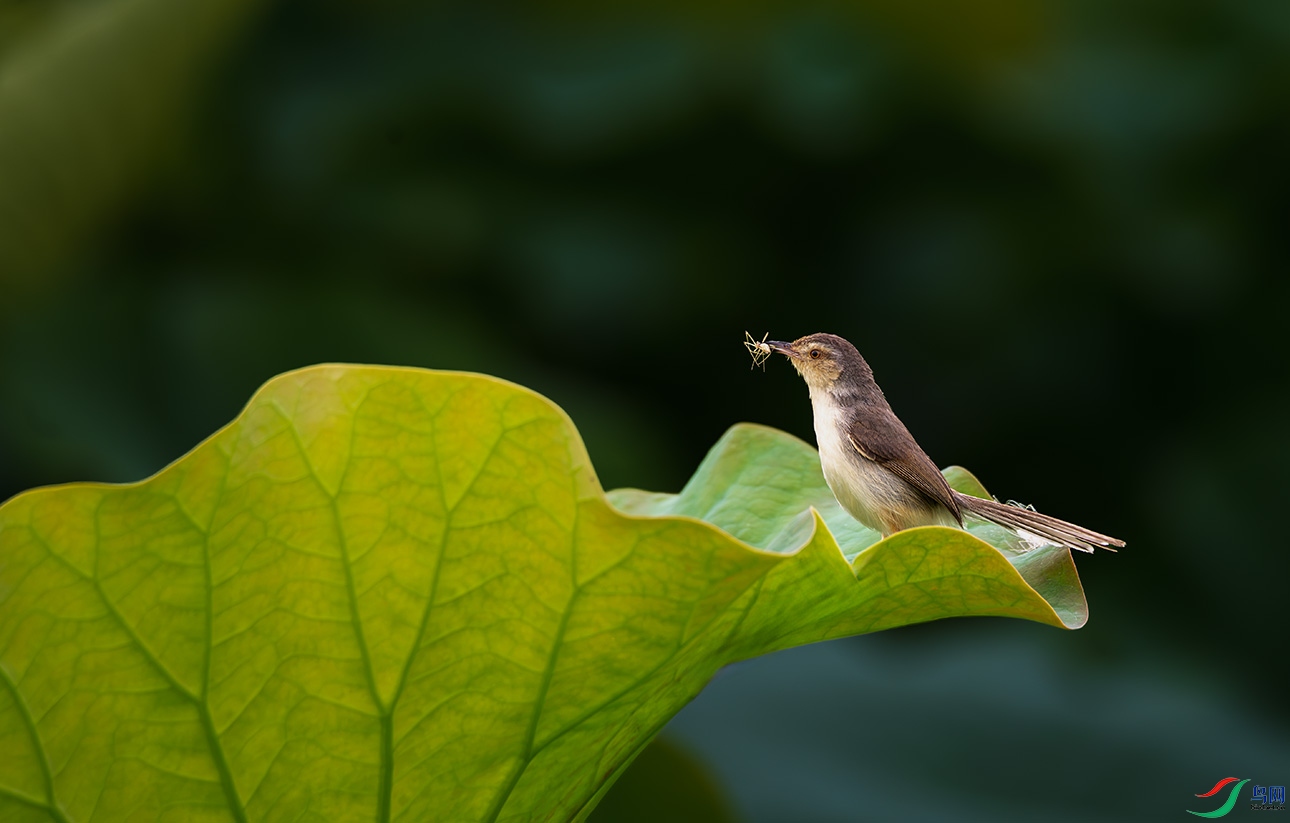 DSC_1726.jpg111.jpg