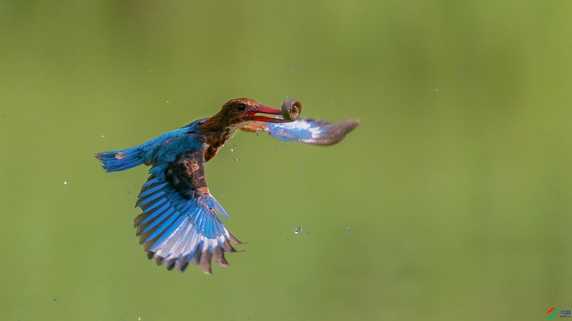 _MGL5539.jpg