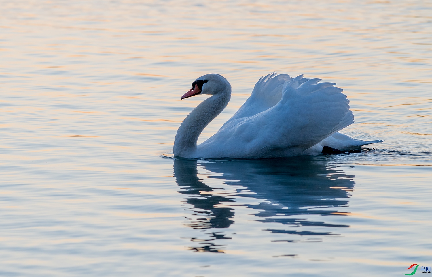 DSC_00471.jpg